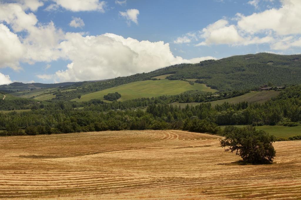 Agriturismo Piettorri Casole dʼElsa Zimmer foto